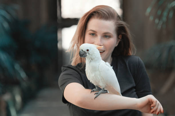 istock woman with tropical white parrot 1078492110