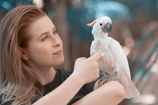 lifestyle shot of young woman near tropical white parrot enjoying spring day.