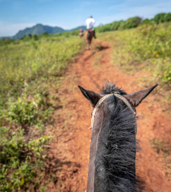 istock Horse riding in the Vinales valley in Cuba 1078500210