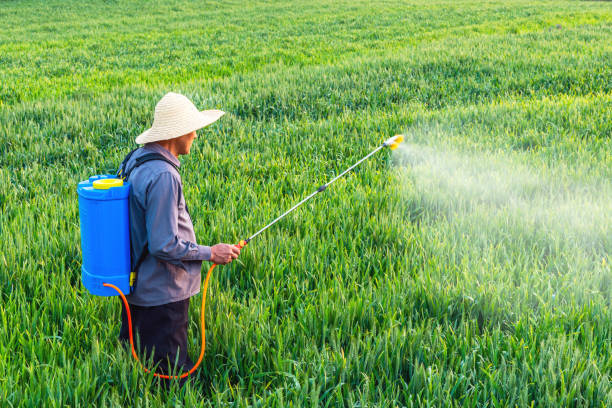 istock Farmer spraying pesticides in the fields 1078502994