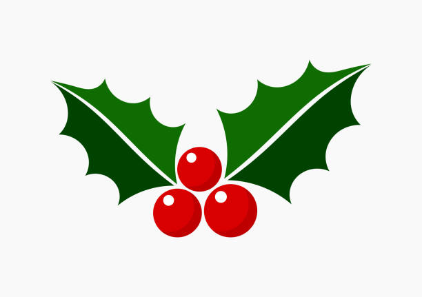 ilustrações de stock, clip art, desenhos animados e ícones de christmas holly icon symbol. - holly christmas leaf berry fruit