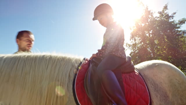Little girl sitting on the horse in sunshine