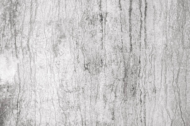 istock black and white texture of old boards. grunge 1078513530