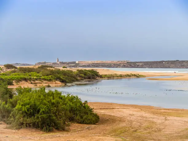 Photo of Coast of Diabat near Essaouira, Morocco