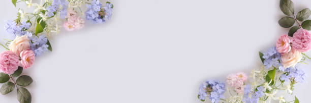 istock Beautiful flower on white background. 1078521236