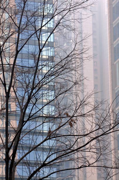 istock The sunrise light on the tree and building 1078531058