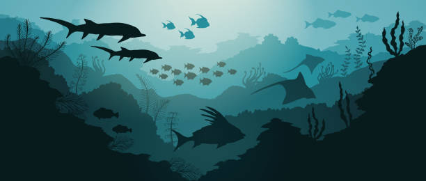 ilustrações, clipart, desenhos animados e ícones de recifes de corais e subaquático fundo de mar com peixes e algas - vector reef coral shark