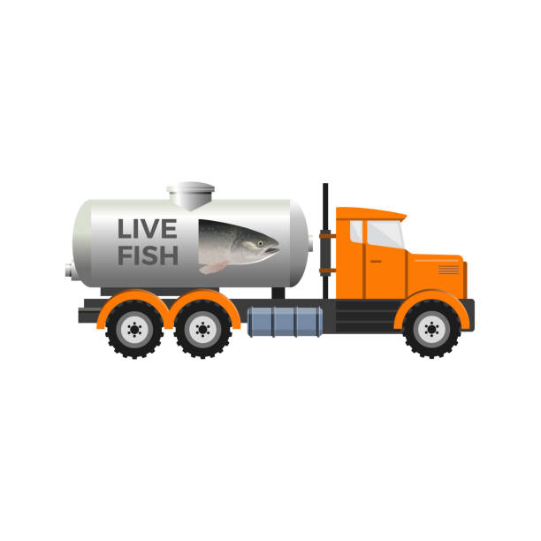 illustrazioni stock, clip art, cartoni animati e icone di tendenza di serbatoio per il trasporto del pesce - truck transportation fish industry