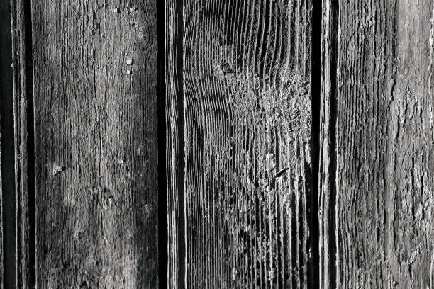 istock black and white texture of old boards. grunge 1078536846