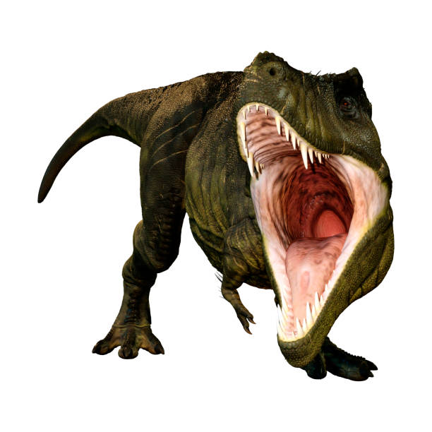 istock 3D illustration Tyrannosaurus Rex on white 1078537130