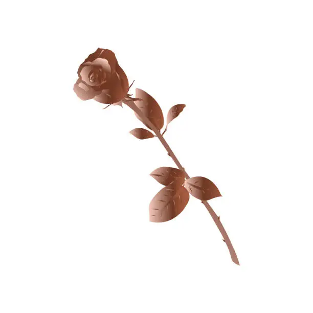 Vector illustration of Bronze roze