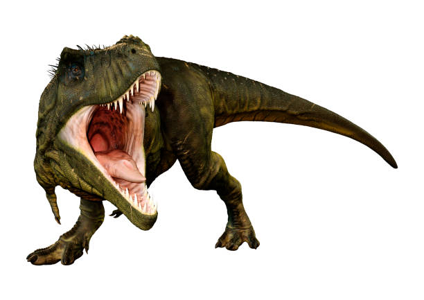istock 3D illustration Tyrannosaurus Rex on white 1078537138