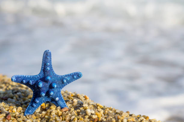 istock Blue starfish pinned on sand at the beach. Blue sea on background. 1078547846