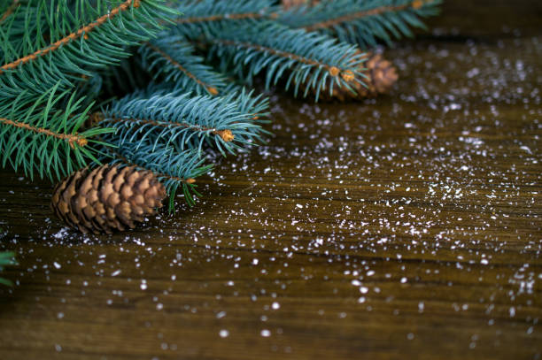 Fir branches, cones and snow on wooden background stock photo