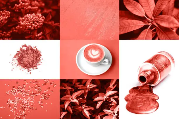 Photo of Collage in Living Coral color. Trendy color concepf of the year.