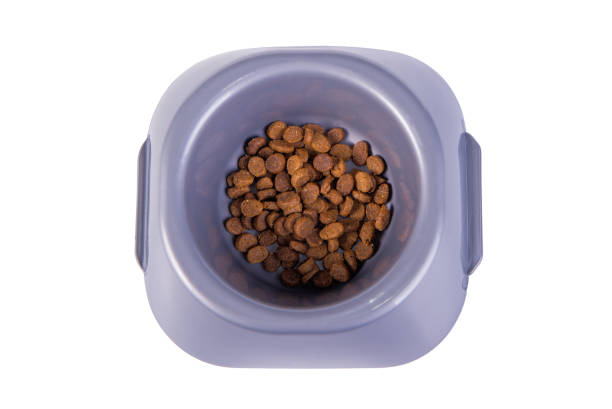 istock Bowl with dry cat food 1078554134