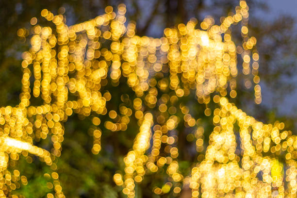 istock Decorative outdoor string lights hanging on tree in the garden at night time 1078555528