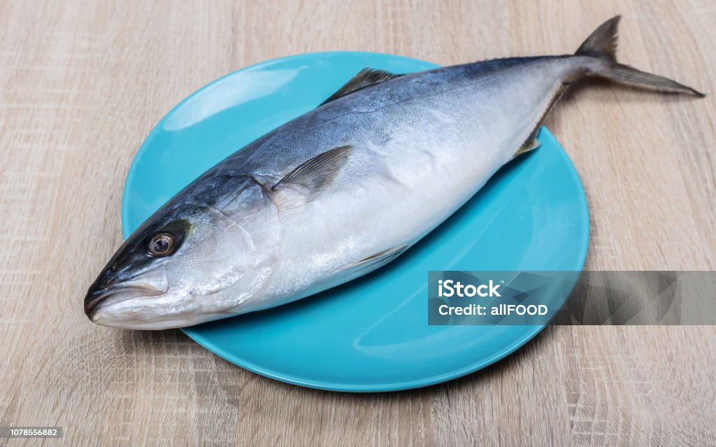 raw tuna fish closeup raw tuna fish closeup on wooden background Animal Stock Photo