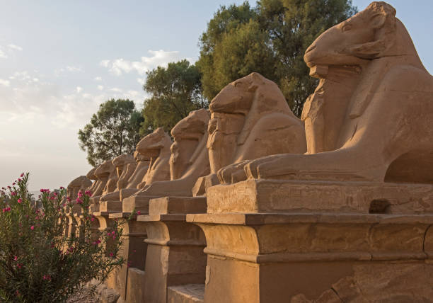istock Ram headed avenue of sphinxes at Karnak Temple 1078557404