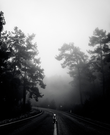 A dog standing on a road, foggy day.Black and white photo. Added grain and vignette