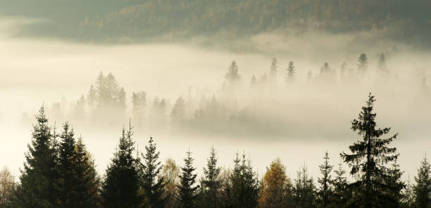 istock Carpathian mountain sunny landscape 1078576342