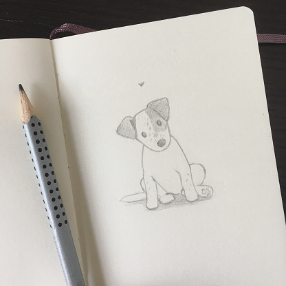 Cute pencil sketch of a Jack Russell Terrier puppy