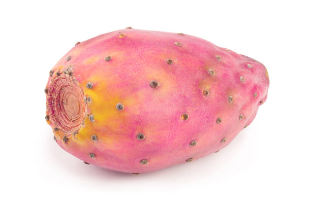 istock red prickly pear or opuntia isolated on a white background 1078582116