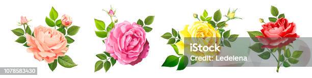 Lovely Rose Flower Stock Illustration - Download Image Now - Rose - Flower, Yellow, Watercolor Painting