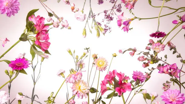 Photo of Studio Wallpaper flower arrangement on white