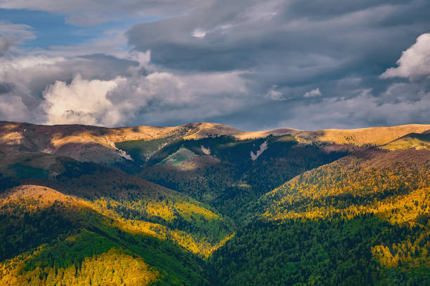istock Carpatian Mountains in Romania 1078587192