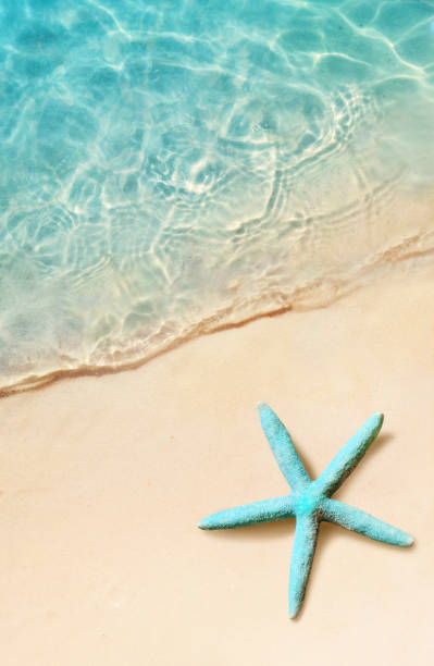 istock Starfish on the summer beach. Summer background. Tropical sand beach 1078587660
