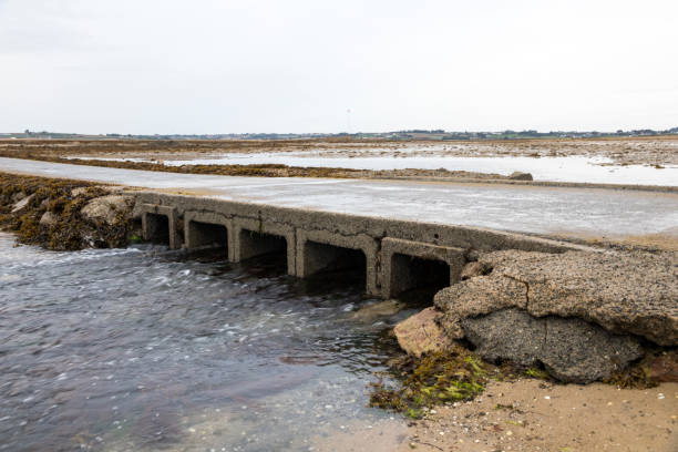 istock Callot Island, France 1078589034