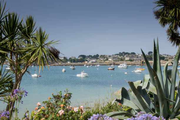 istock Batz Islands in Brittany 1078591752