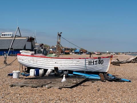 A fishing boat on the beach at Aldeburgh in Suffolk, Eastern England, on a sunny day in spring. Aldeburgh is an attractive town on the Suffolk Heritage Coast which was once home to the famous composer Benjamin Britten. An inquisitive seagull is standing in front of the boat. (Incidental people.)