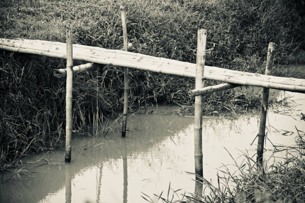 Su Tong Pae bamboo wooden bridge of Wat Phu Sa Ma temple for thai people and foreign traveler travel visit while PM 2.5 Dust situation in Ban Kung Mai Sak village at Pai city of Mae Hong Son, Thailand