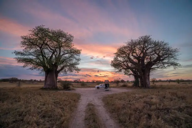 A remote campsite at Baines Baobab in Botswana