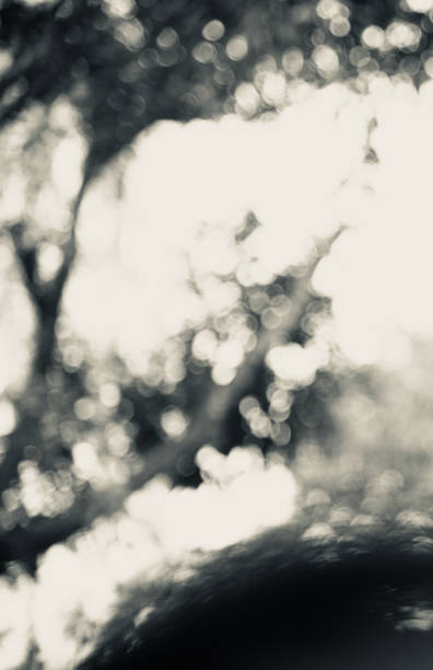 istock Black and white unique blurry background photo 1078601226