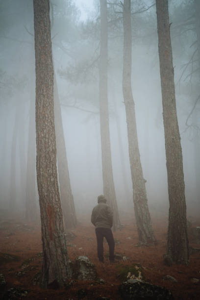 istock Into the fog 1078618864