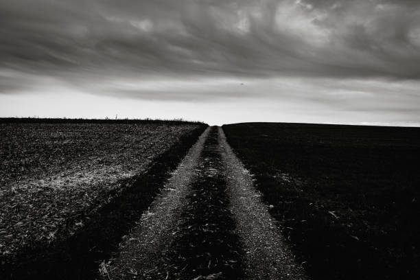 istock Road Amidst Field Against Sky 1078620894