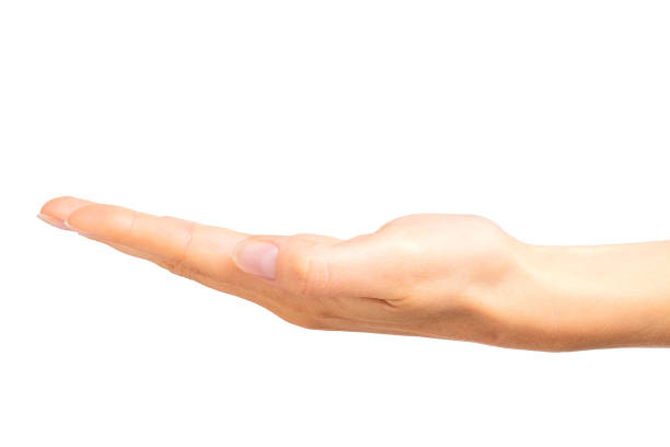 istock Woman showing open hand or holding something 1078627068
