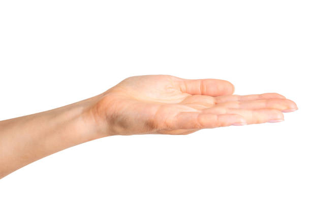 istock Woman showing open hand taking or showing something 1078627478