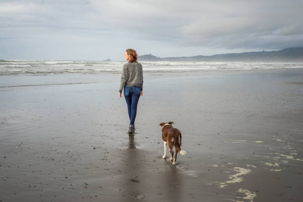Young woman and her dog walking on a California beach stock photo