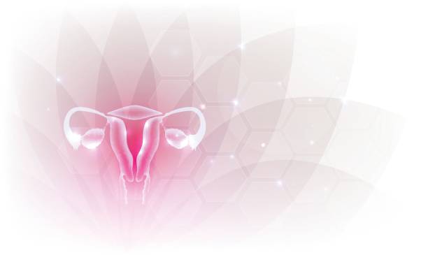 Female reproductive organs artistic design backdrop Female reproductive organs beautiful artistic design, transparent flower at the background. uterus stock illustrations
