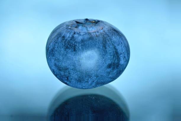 blueberry on white background