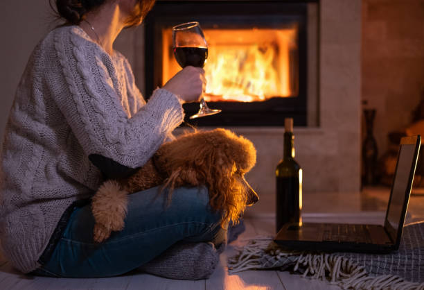 Young freelancer woman sits at the floor with a laptop and drinking wine on the fireplace background . stock photo