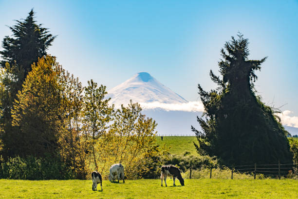 istock Outlook Volcan Osorno 1078664784