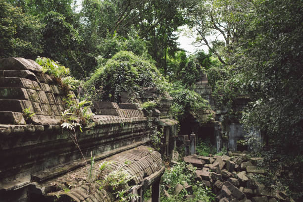 istock Plants Growing In Old Abandoned Building 1078667092