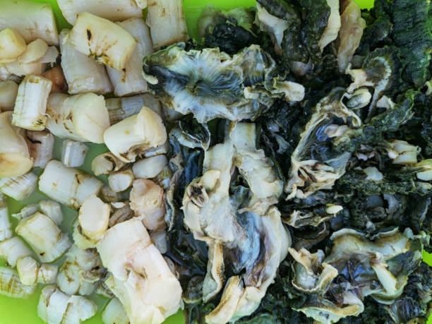 giant calm meat selling in street market. - pacific oyster imagens e fotografias de stock