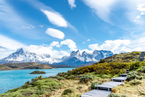 istock Torres del Paine National Park 1078691260