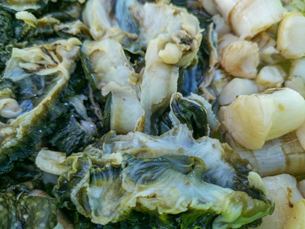 giant calm meat selling in street market. - pacific oyster imagens e fotografias de stock